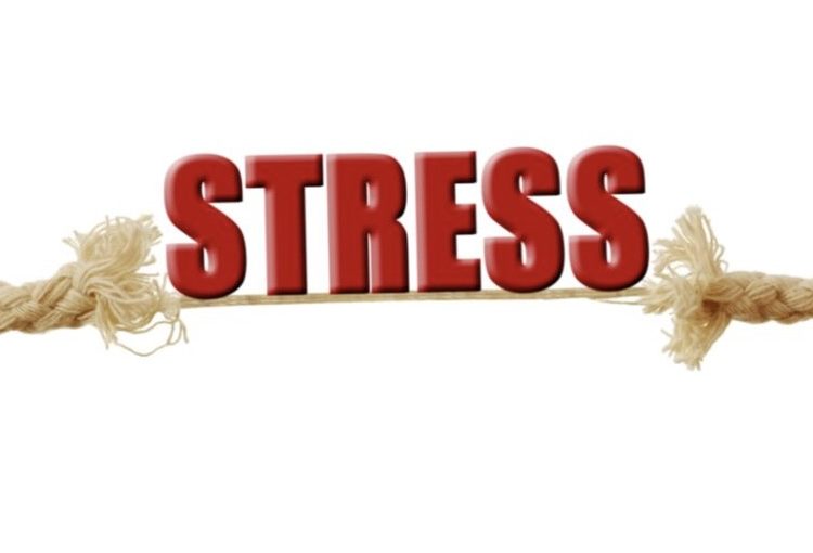 Stressed Out? 10 Tips for De-stressing Your Life
