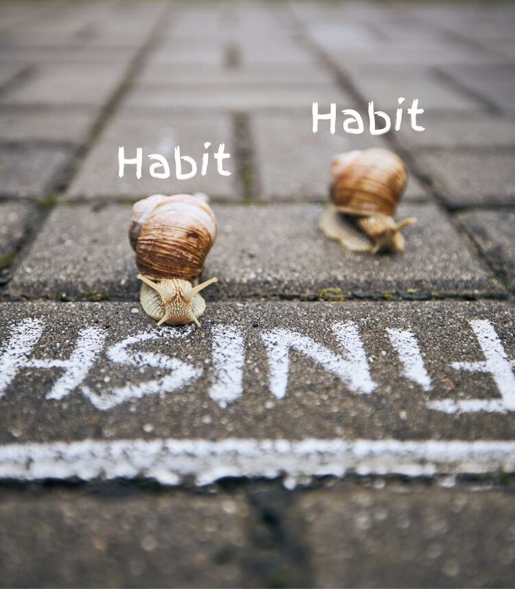 Habits + Goals: A New Perspective